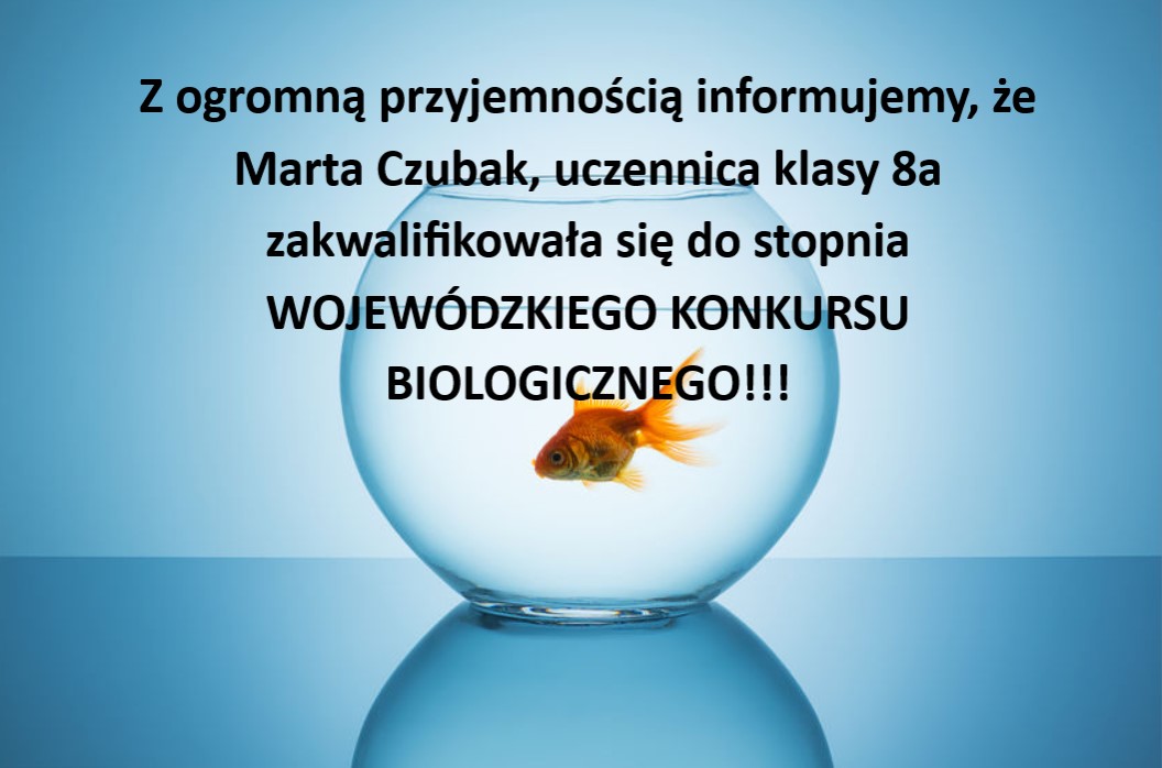 Read more about the article Wojewódzki konkurs biologiczny – etap rejonowy