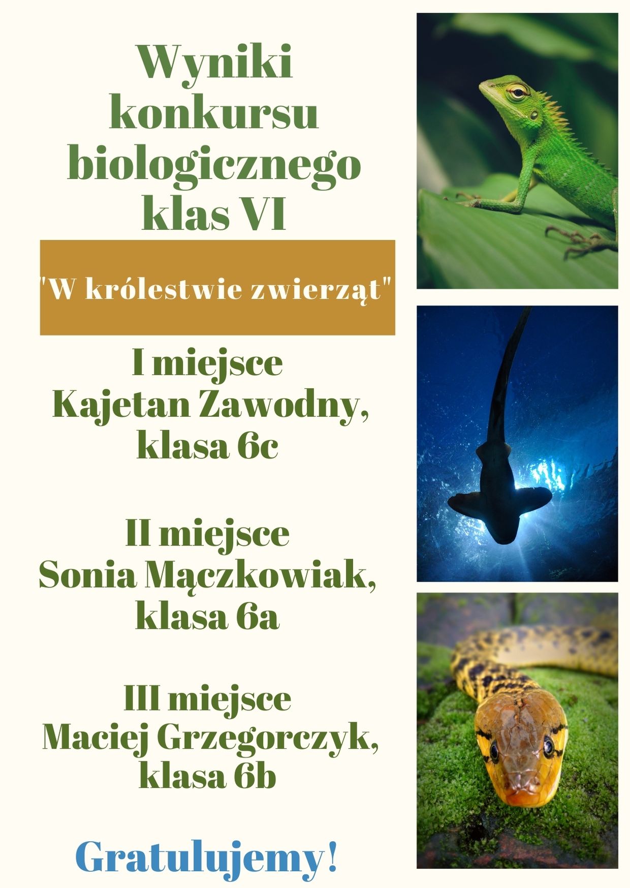 Read more about the article Wyniki konkursu biologicznego klas VI