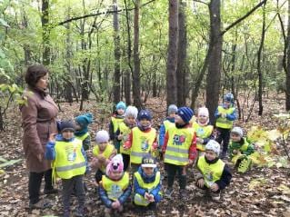 Read more about the article Jesienna wycieczka do lasu
